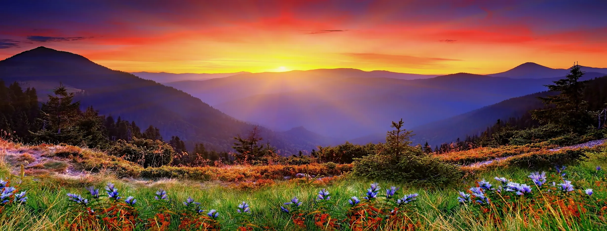 Image for Proximity to Nature